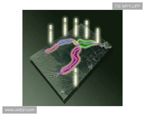 武汉篮球队转型之路探秘:从传统强队到现代化竞技新标杆