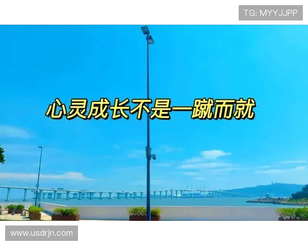 何思雨：在风雨中追寻梦想的勇敢旅程与心灵成长