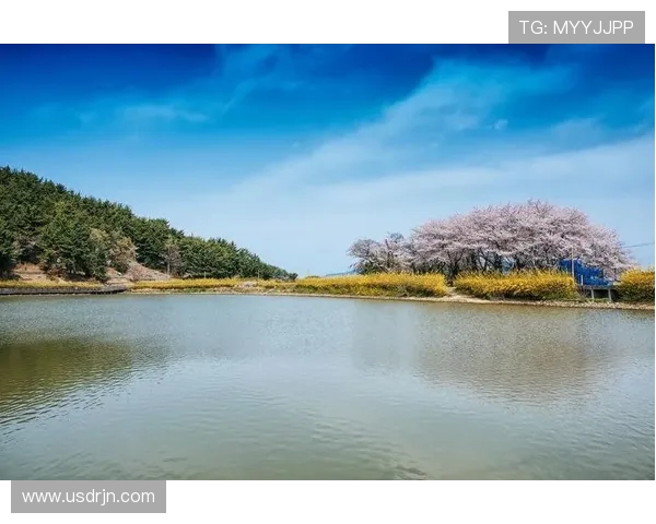 哈德森的魅力探秘：从历史到现代的文化之旅与自然风光的完美结合